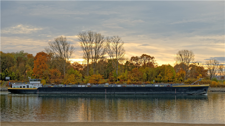 Rhine Sailors