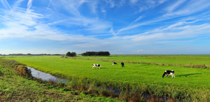 NOB zet vraagtekens bij wetsvoorstel Aanpassing voorwaarden kavelruilvrijstelling