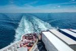 gevolgen Brexit ondernemer