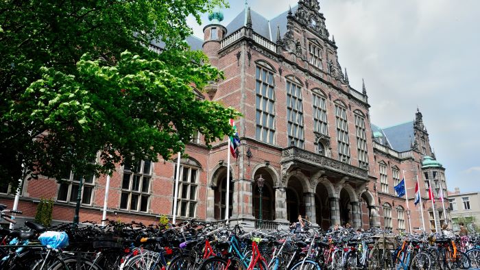 universiteit groningen