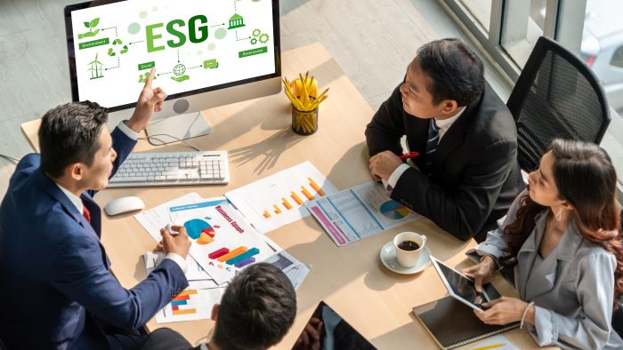 ESG-management