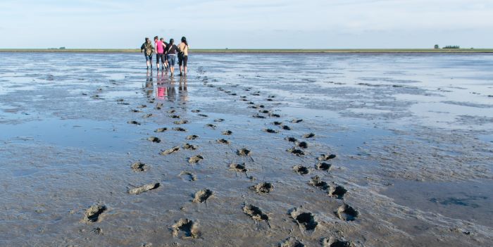 btw wadden oversteektocht