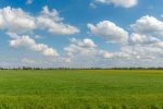 landbouwvrijstelling