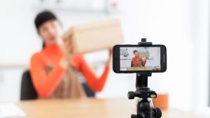 vlogger winst inkomen