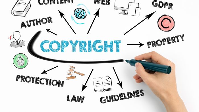 Standpunt kwalificatie licentievergoeding voor gebruik van illustraties, handelsnaam en logo’s